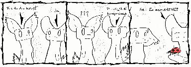 066-Høne4.jpg