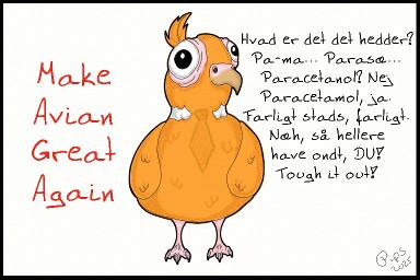 17-Paracetamol.jpg